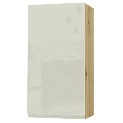 Feldmann-Wohnen Hängeschrank Weiß Hochglanz, Eiche Artisan 50x96x32.5 cm