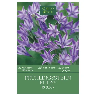 Frühlingsstern (Triteleia Rudy), 10 Blumenzwiebeln