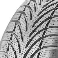 g-Force Winter 205/45 R17 88V