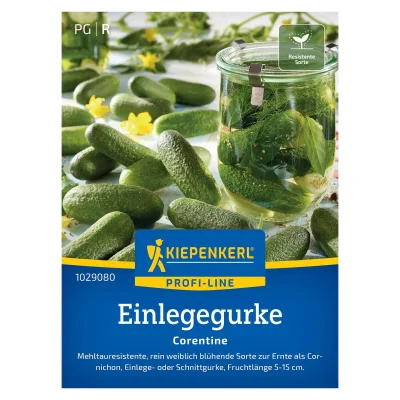 Gemüsesamen, Einlegegurke 'Corentine', grün