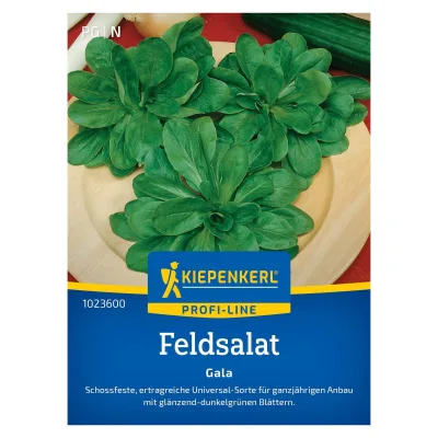 Gemüsesamen, Feldsalat 'Gala Tolerant'