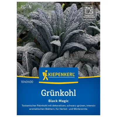 Gemüsesamen, Grünkohl 'Black Magic', grün