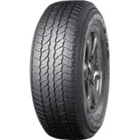 Geolandar A/T (G31C)