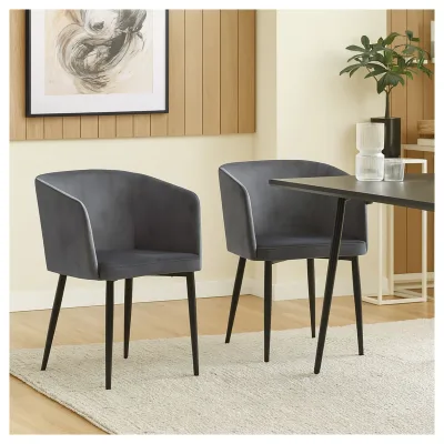HTI-Living Esszimmerstuhl Destin Velvet Grau 2er-Set