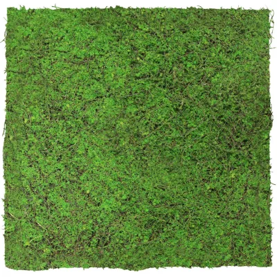 Jangal Akustikpaneel Modular Wall System Design Flora Hellgrün 52x52x2 cm