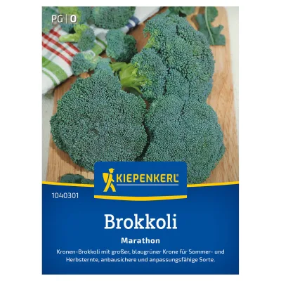 Kiepenkerl Saatgut Brokkoli 'Marathon', grün