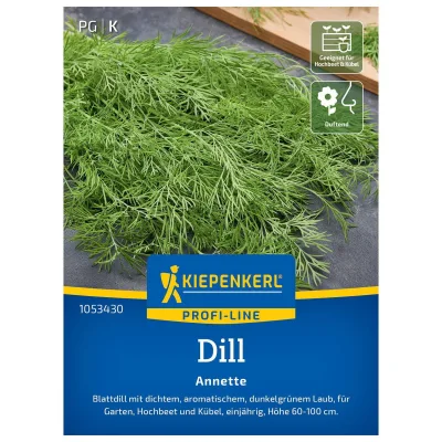 Kiepenkerl Saatgut Dill 'Annette'