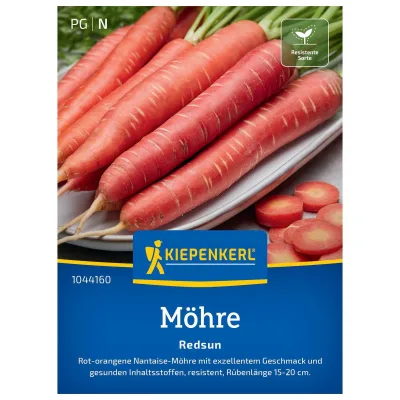 Kiepenkerl Saatgut Möhre 'Redsun®', orange