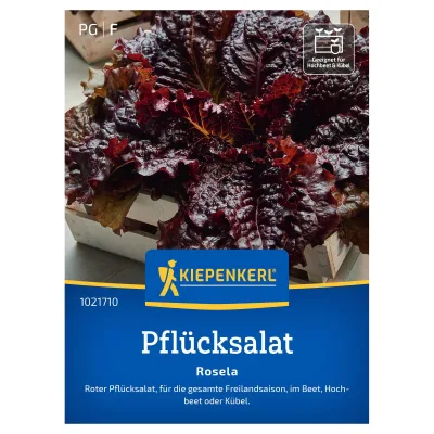 Kiepenkerl Saatgut Pflücksalat 'Rosela'