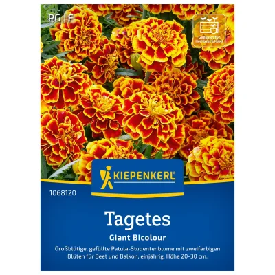 Kiepenkerl Saatgut Studentenblume 'Giant Bicolour'