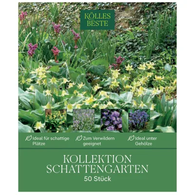 Kollektion Reizvoller Schattengarten, 50 Blumenzwiebeln