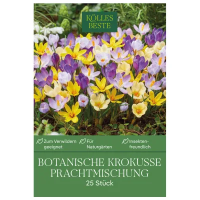 Kölles Beste Botanische Krokusse 'Prachtmischung' Farbmix, 25 Blumenzwiebeln