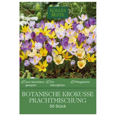 Kölles Beste Botanische Krokusse 'Prachtmischung' Farbmix, 50 Blumenzwiebeln