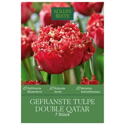 Kölles Beste Gefranste Doppeltulpen 'Qatar', rot, 7 Blumenzwiebeln