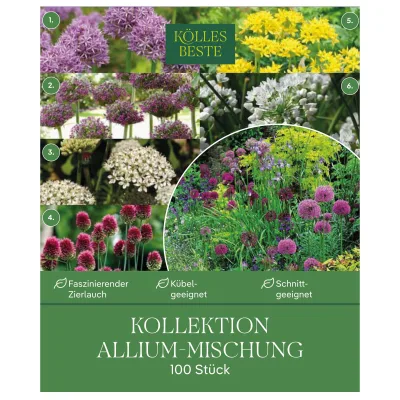 Kölles Beste Kollektion 'Allium-Mischung', 100 Blumenzwiebeln