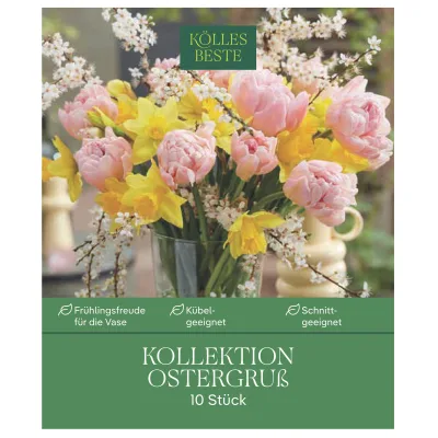 Kölles Beste Kollektion 'Ostergruß' aus Narzissen & Tulpen, 10 Blumenzwiebeln