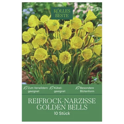 Kölles Beste Narzisse 'Golden Bells' goldgelb, 10 Blumenzwiebeln