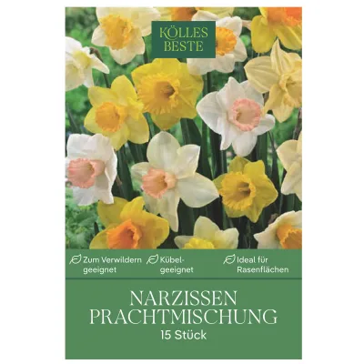 Kölles Beste Narzissen Prachtmischung 15 Blumenzwiebeln