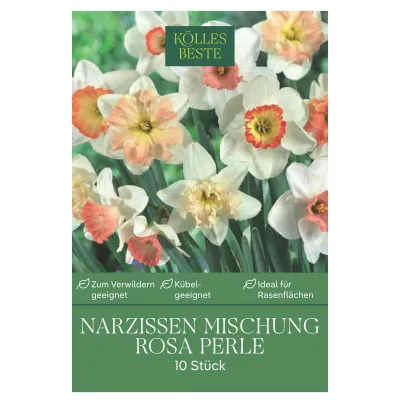Kölles Beste Narzissen Rosa Perle, 10 Blumezwiebeln