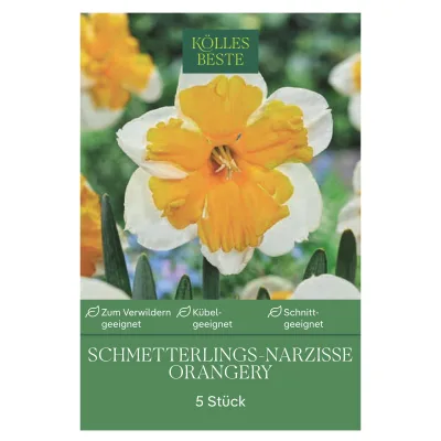 Kölles Beste Schmetterlings-Narzissen 'Orangerie' orange-creme, 5 Blumenzwiebeln