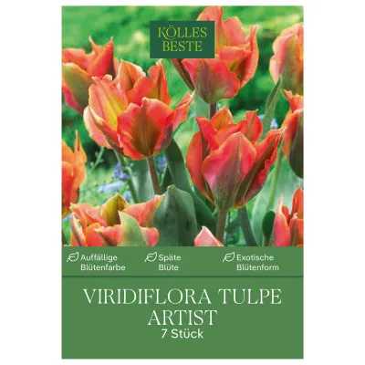 Kölles Beste Viridiflora-Tulpe 'Artist®', orange/grün, 7 Blumenzwiebeln