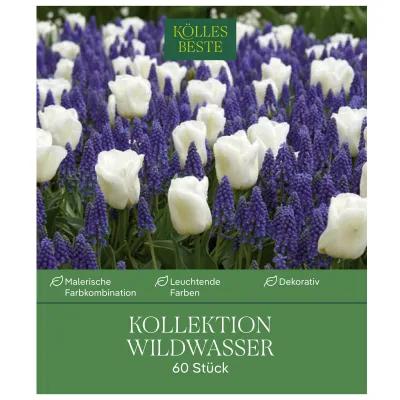 Kölles Beste Wildwasser Kollektion 40 Blumenzwiebeln