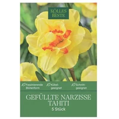 Kölles Beste XXL Gefüllte Narzissen 'Tahiti' gelb-orange, 5 Blumenzwiebeln