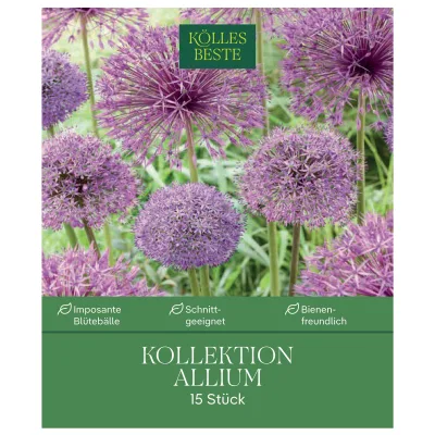 Kölles Beste Zierlauch-Kollektion, purpur-lila, 15 Blumenzwiebeln