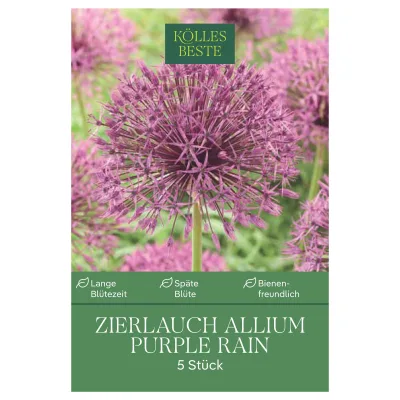 Kölles Beste Zierlauch 'Purple Rain®', lila, 5 Blumenzwiebeln
