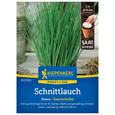 Kräutersamen, Schnittlauch 'Staro', grün