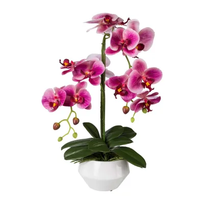 Künstliche Orchidee Phalaenopsis, fuchsia, Höhe ca. 52 cm