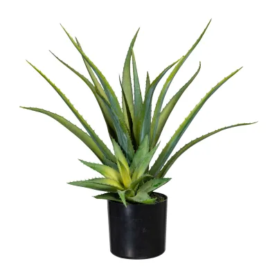 Kunstpflanze Aloe vera, Höhe ca. 48 cm