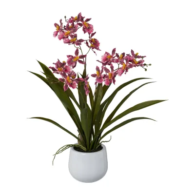 Kunstpflanze Gambia-Orchidee, dunkelrosa, Höhe ca. 50 cm