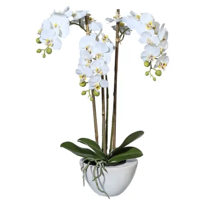 Kunstpflanze Mini-Orchidee Phalaenopsis, weiß, Höhe ca. 51 cm