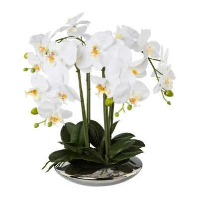 Kunstpflanze Phalaenopsis 'Real Touch', weiß, Höhe ca. 41cm