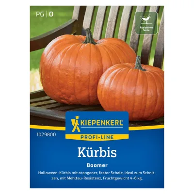 Kürbis 'Boomer', orange, ca. 7 Gemüsesamen