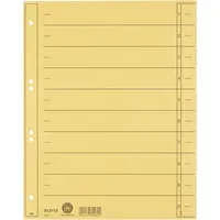 Leitz Trennblatt