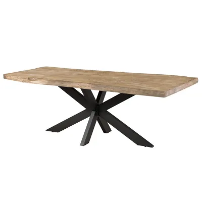 Massivmoebel24 Baumtisch Beige 100x77x200 cm