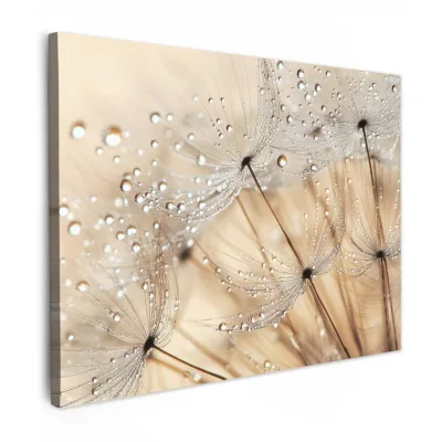 MuchoWow Leinwandbild Braun 40x30 cm