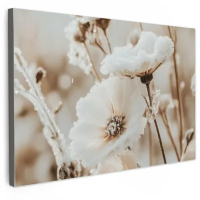 MuchoWow Leinwandbild Creme 90x60 cm