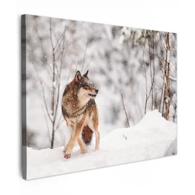 MuchoWow Leinwandbild Haselnuss 40x30 cm