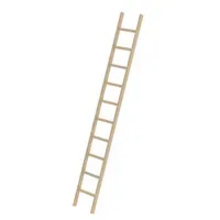 MUNK Anlegeleiter 10 Stufen