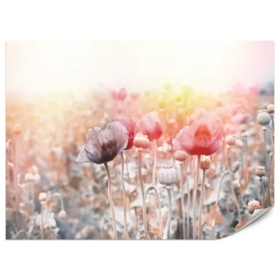 Muralo Fototapete Rot, Rosa, Weiß, Grau, Gelb 150x105 cm