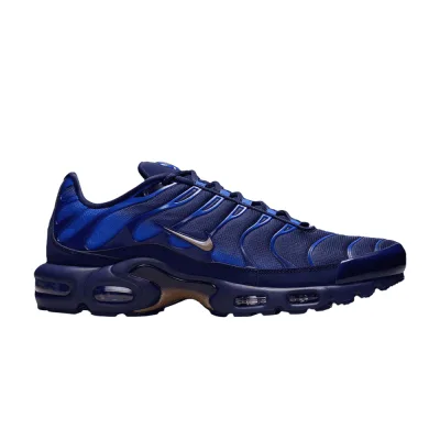 Nike Air Max Plus French Football Federation