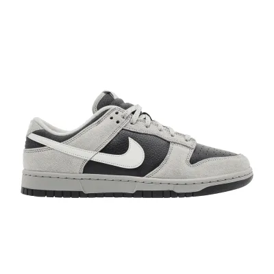 Nike Dunk Low Light Smoke Grey Anthracite