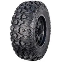 P3036