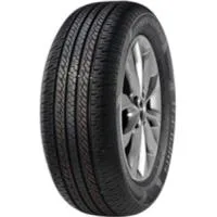 Passenger 235/60 R16 100H