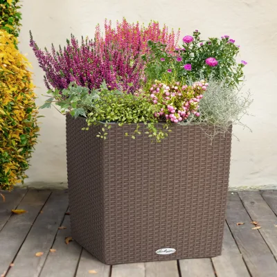 Pflanzenkreation Herbstspaziergang pink-silber, 6 Pflanzen inkl. Erde