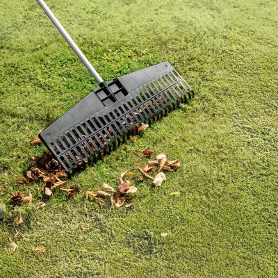 Powertec Garden XXL-Rechen