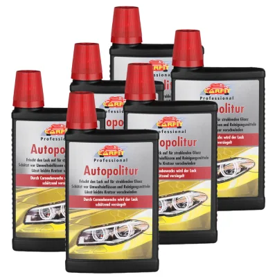 Professional Autopolitur 6er Set